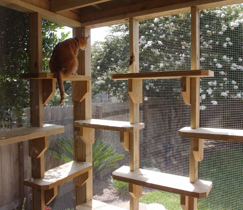 The Cat Carpenter Catios